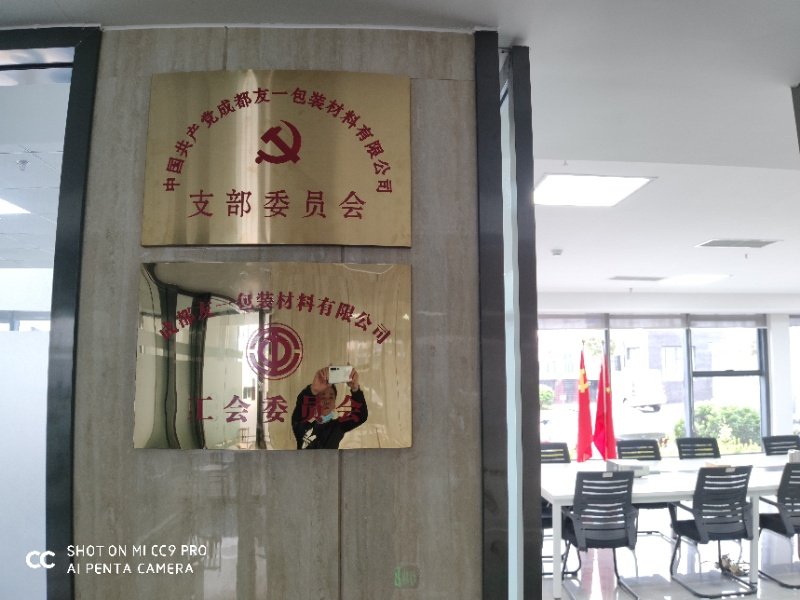 热烈祝贺千亿国际集团成都分公司党支部在2020年3月11日授牌建设，，，，，支部书记曹云(行政部司理)